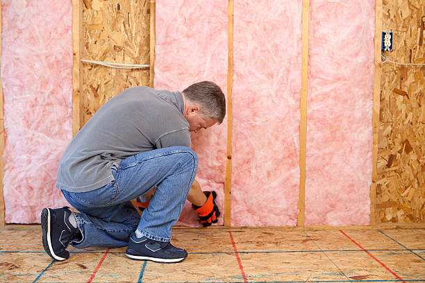 Best Types of Insulation in Colusa, CA